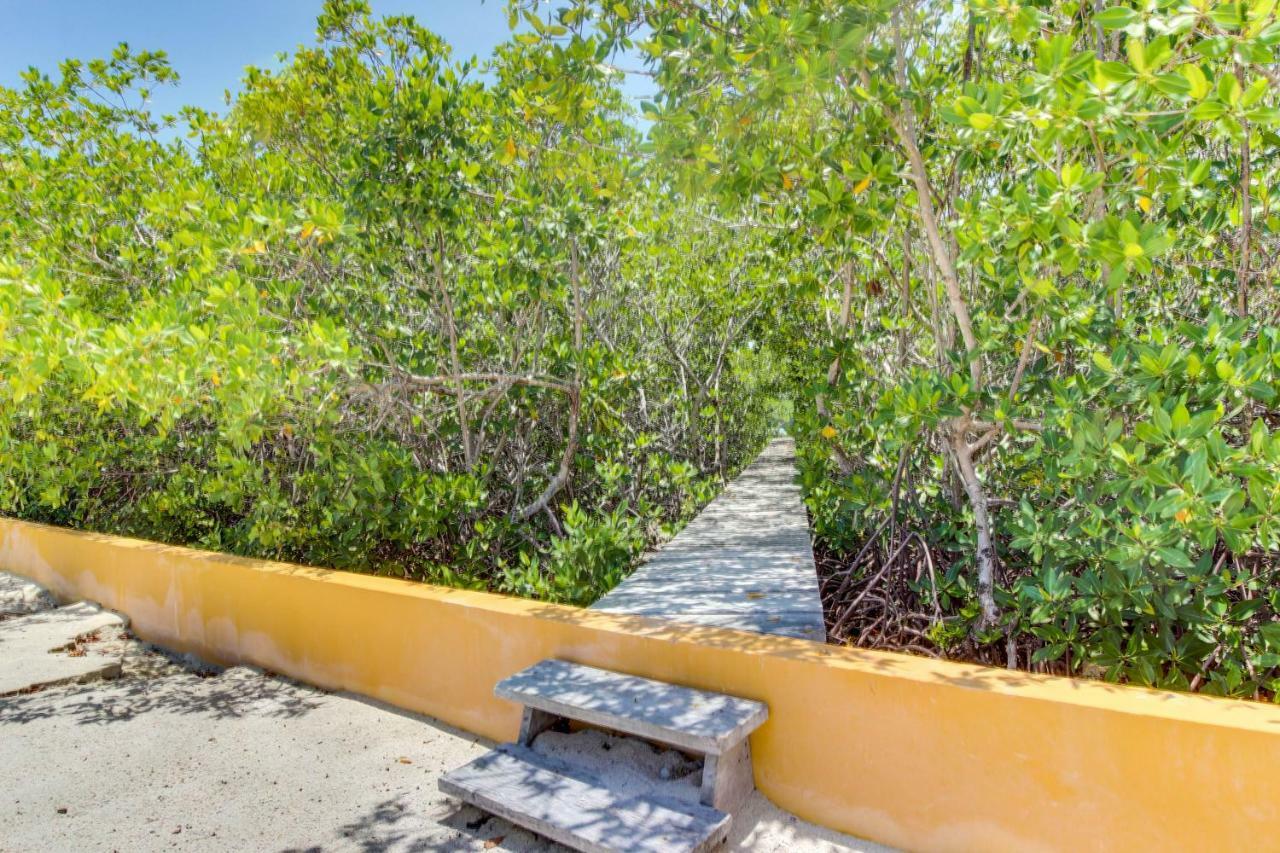 La Casa Pura Vida Villa San Pedro  Dış mekan fotoğraf